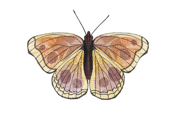 A Butterfly Design That Brings Warmth to Your Projects